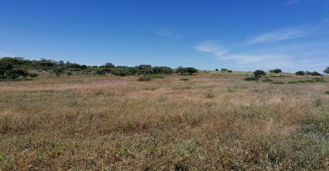 Quinta perto do mar em Lagoa