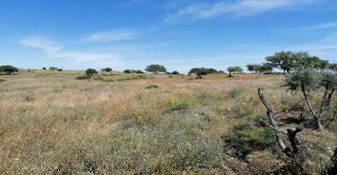 Quinta perto do mar em Lagoa