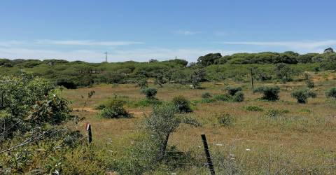 Quinta perto do mar em Lagoa