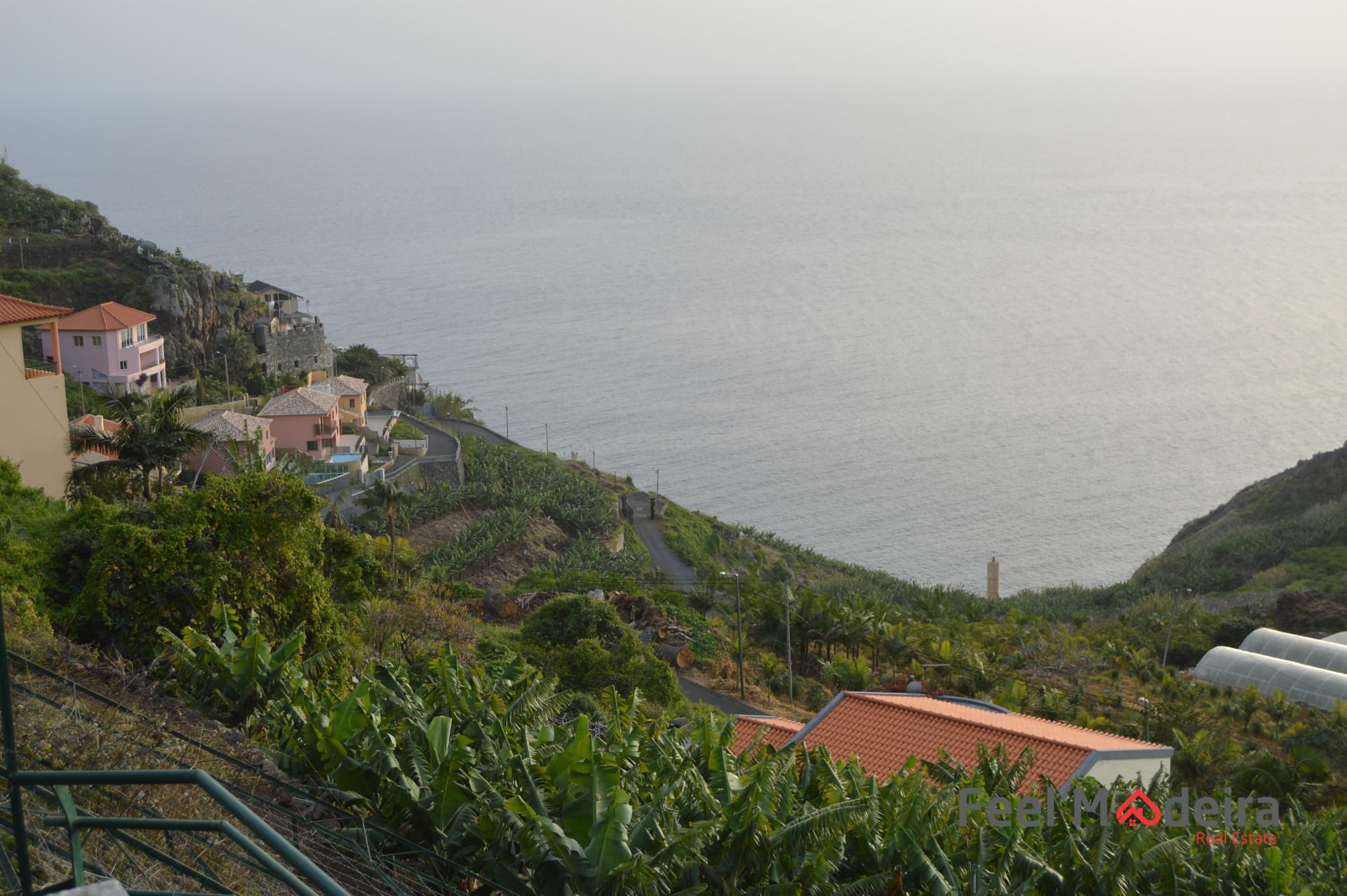 Terreno Rústico  Venda em Ribeira Brava,Ribeira Brava