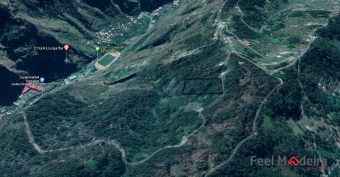 Terreno Rústico  Venda em Ribeira Brava,Ribeira Brava