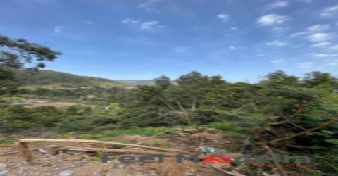 Terreno Rústico  Venda em Ribeira Brava,Ribeira Brava