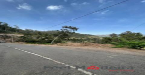 Terreno Rústico  Venda em Ribeira Brava,Ribeira Brava