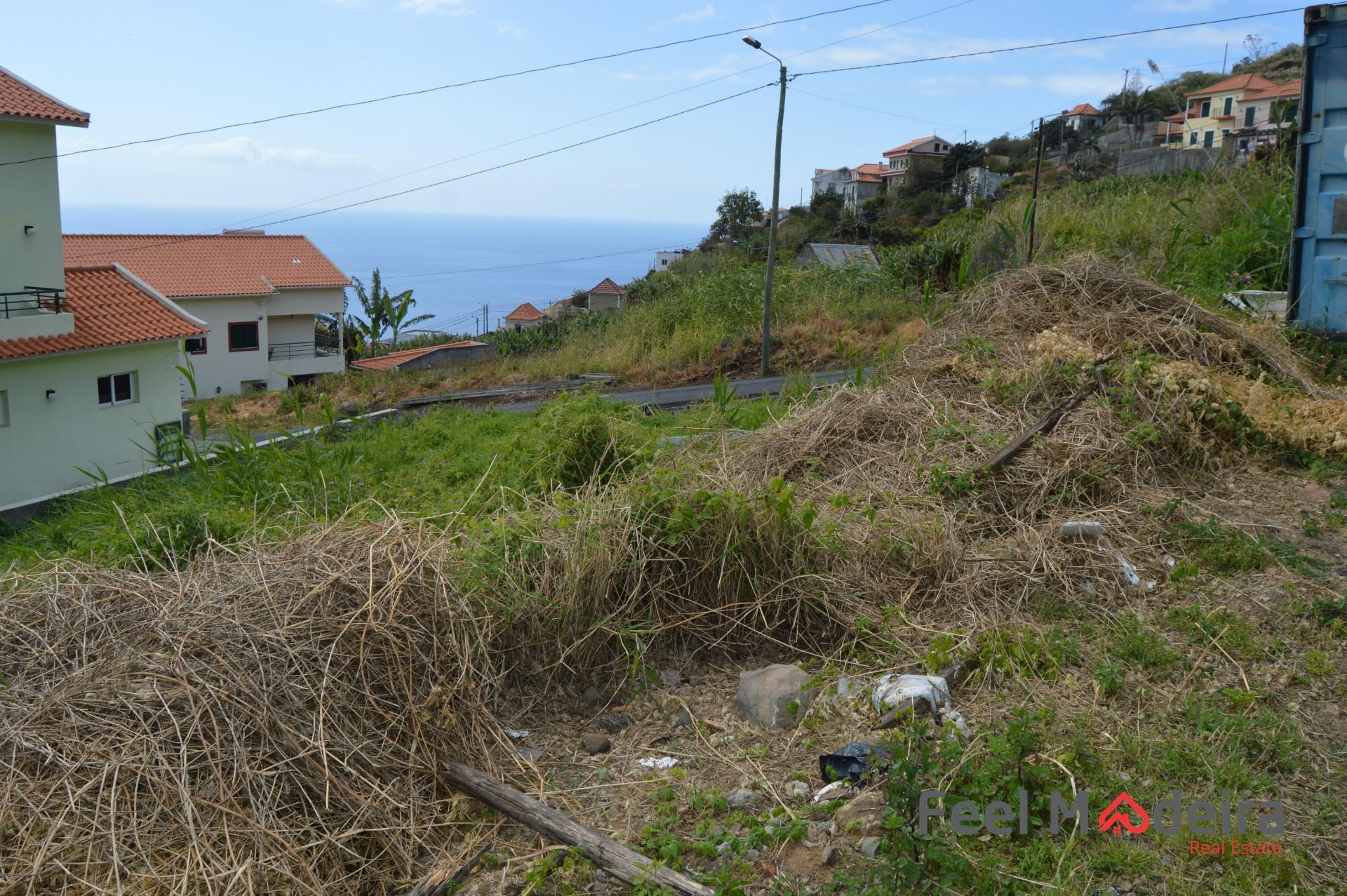 Terreno Rústico  Venda em Ribeira Brava,Ribeira Brava