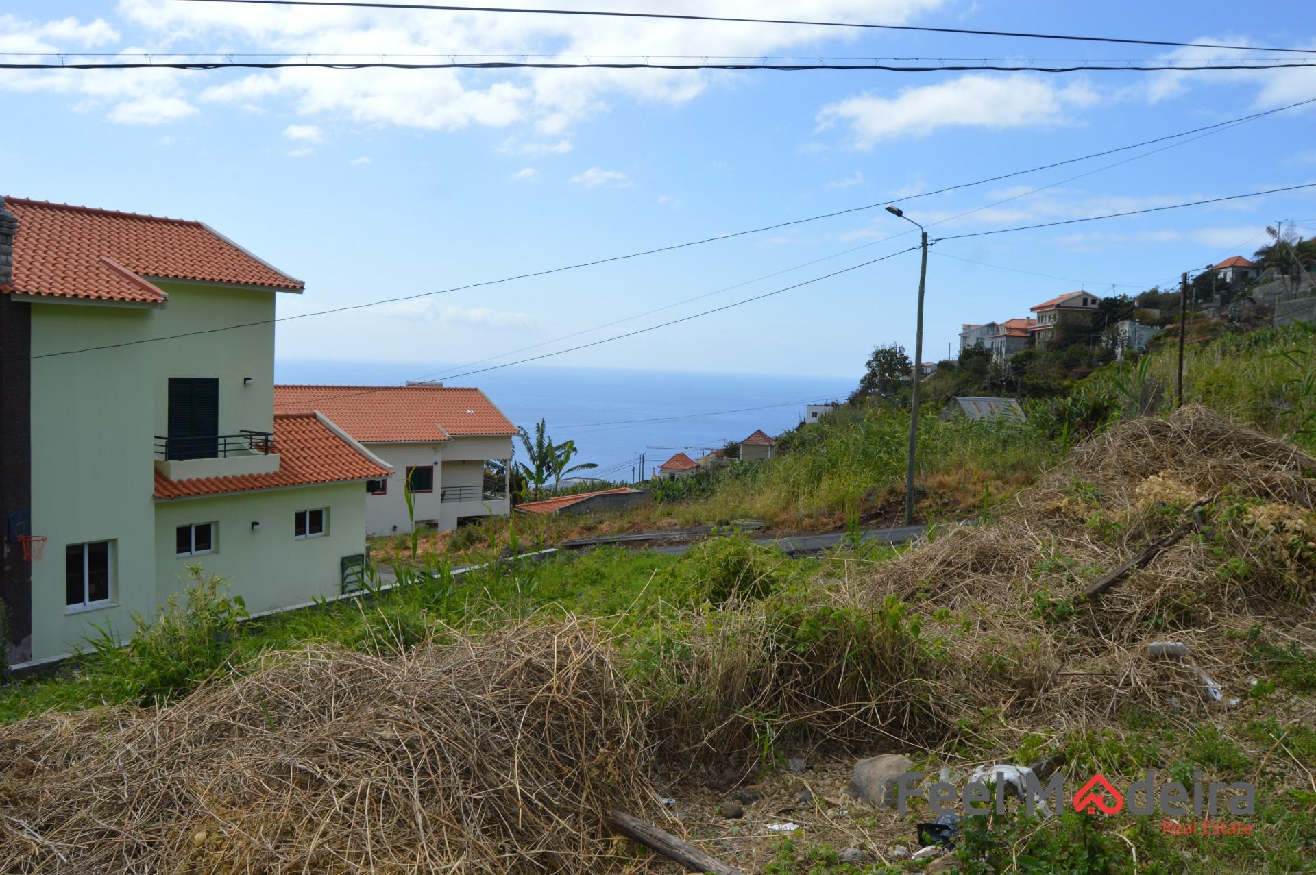 Terreno Rústico  Venda em Ribeira Brava,Ribeira Brava