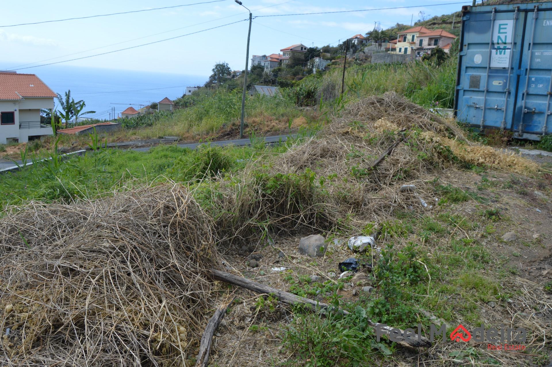 Terreno Rústico  Venda em Ribeira Brava,Ribeira Brava