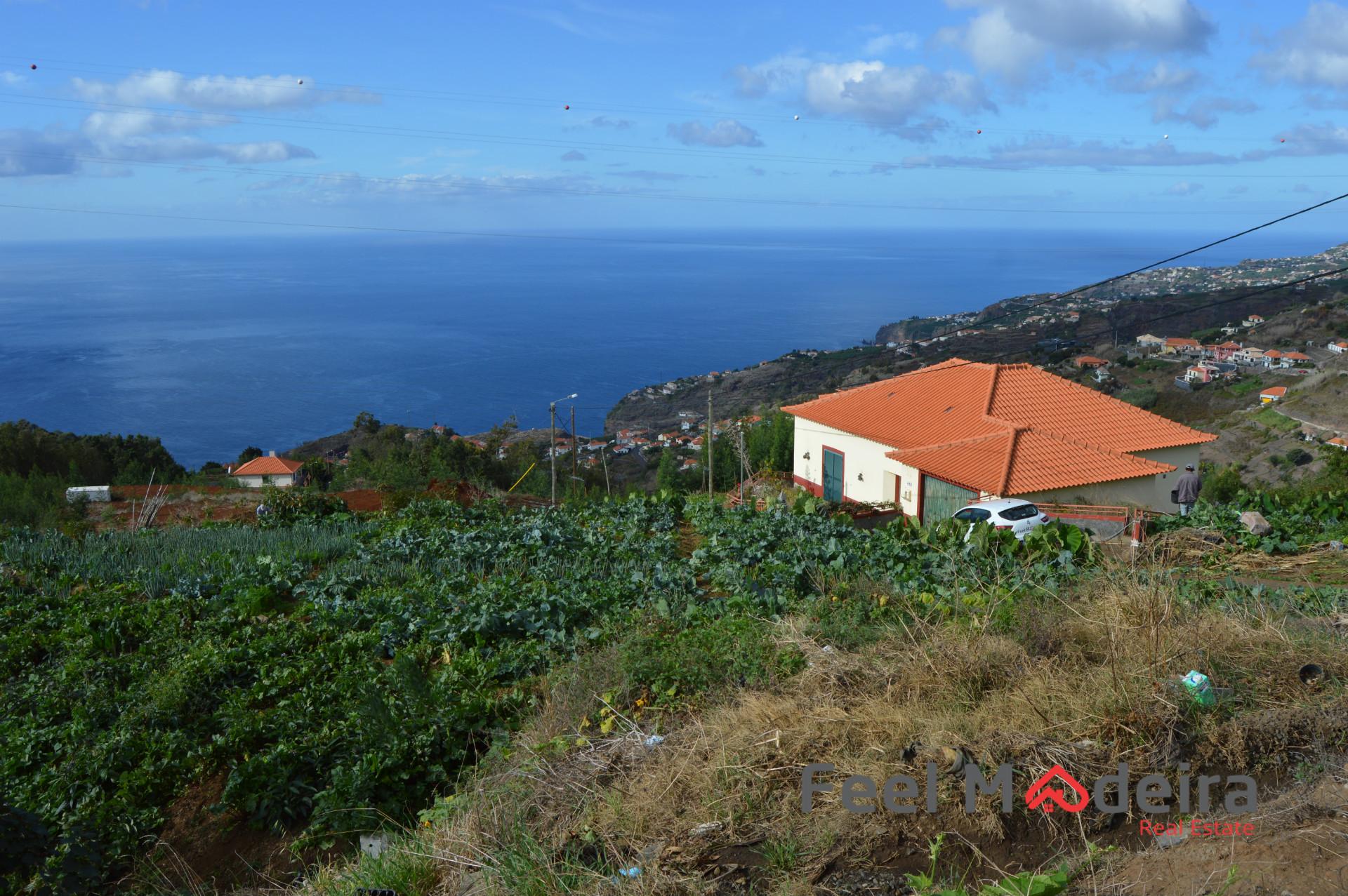 Terreno Rústico  Venda em Ribeira Brava,Ribeira Brava