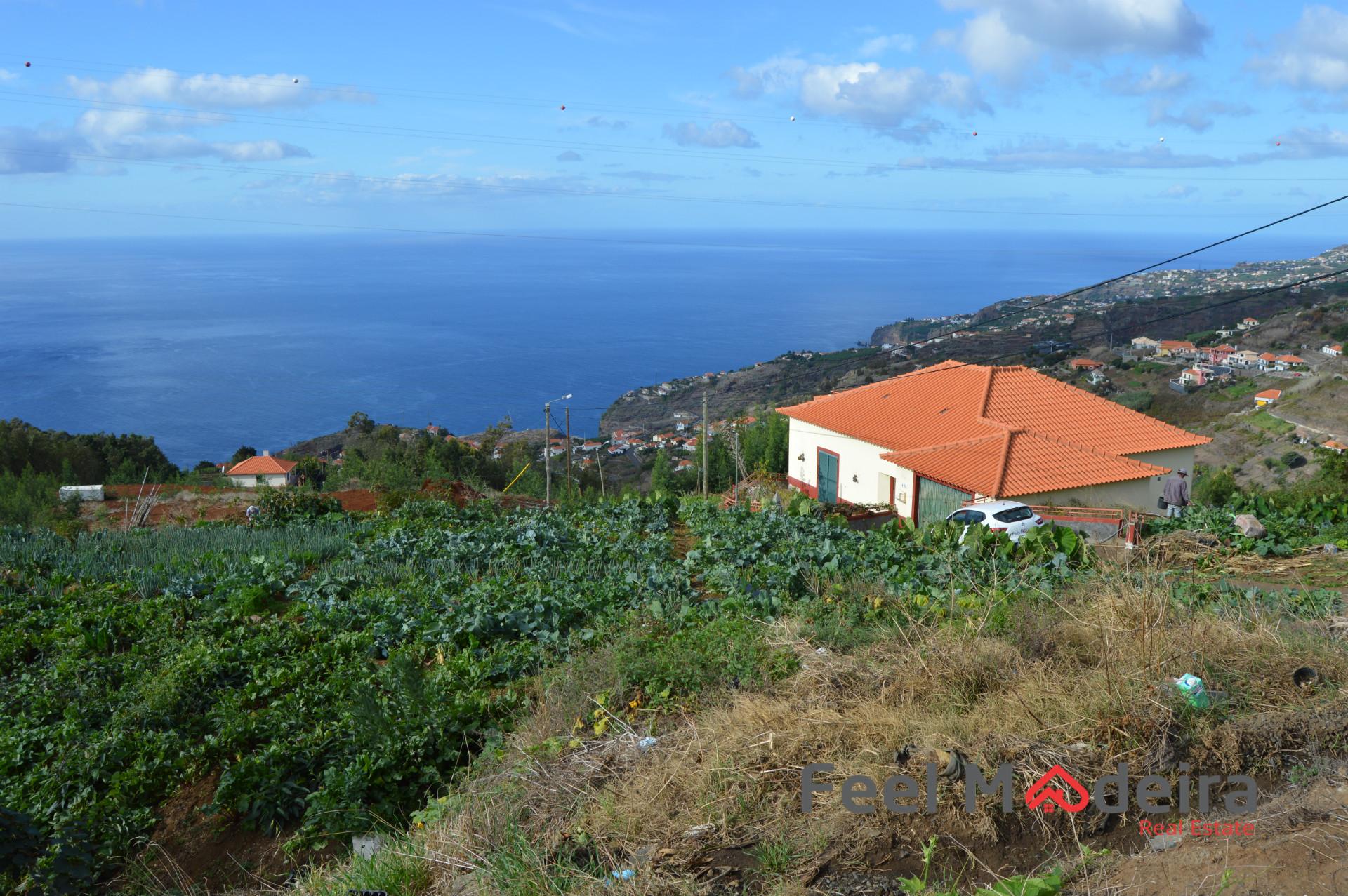 Terreno Rústico  Venda em Ribeira Brava,Ribeira Brava