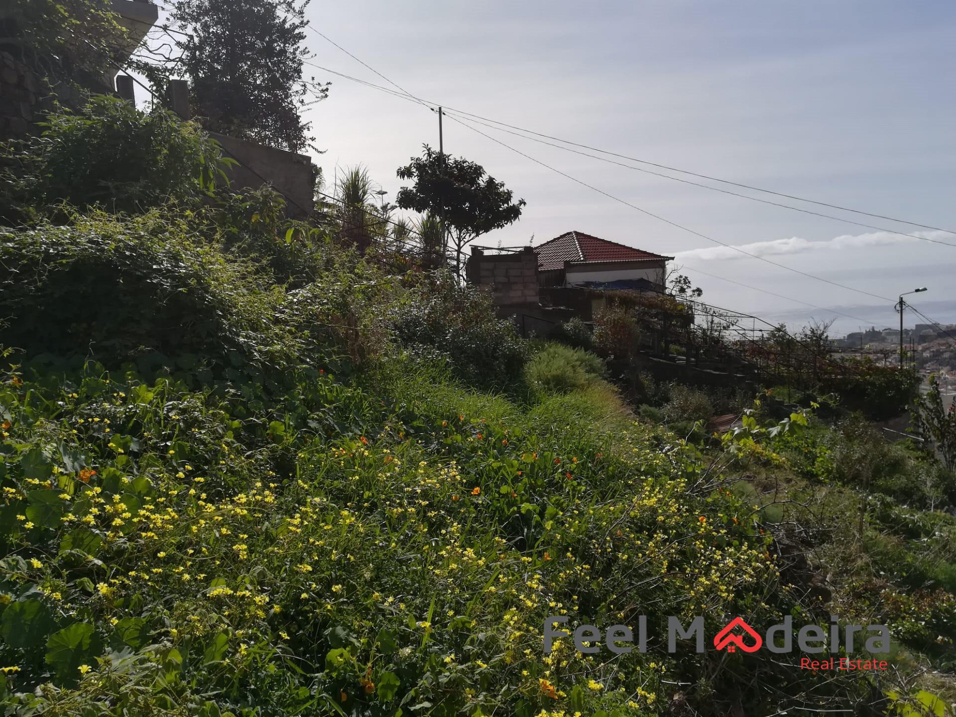 Terreno Urbano  Venda em Imaculado Coração de Maria,Funchal