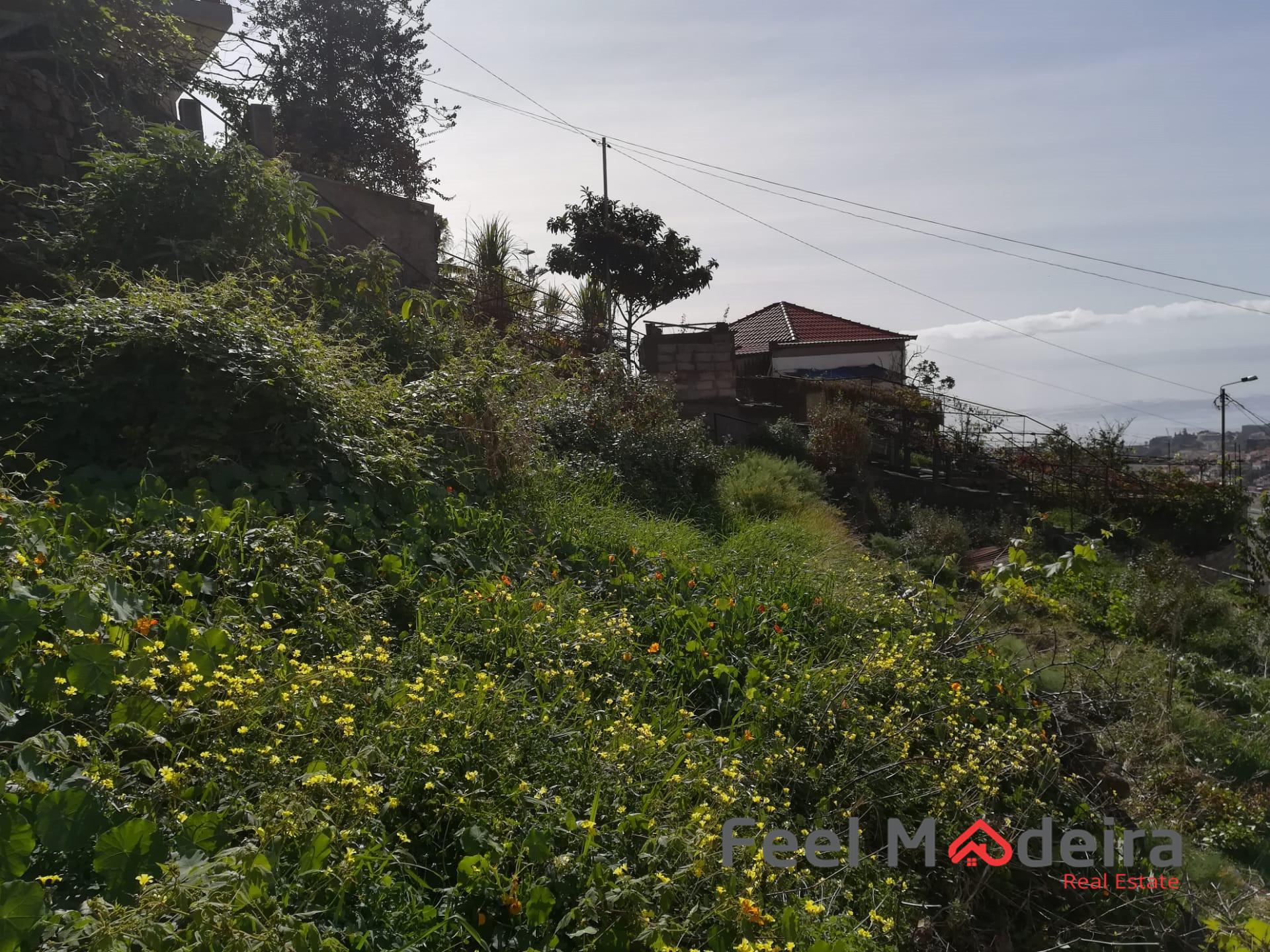 Terreno Urbano  Venda em Imaculado Coração de Maria,Funchal