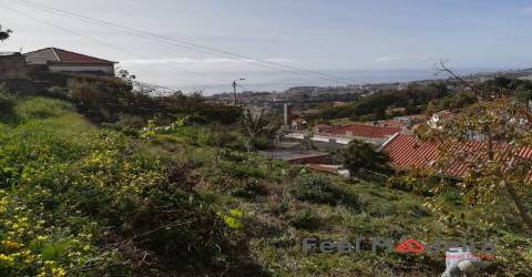 Terreno Urbano  Venda em Imaculado Coração de Maria,Funchal