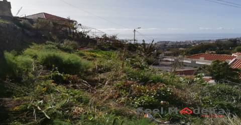 Terreno Urbano  Venda em Imaculado Coração de Maria,Funchal