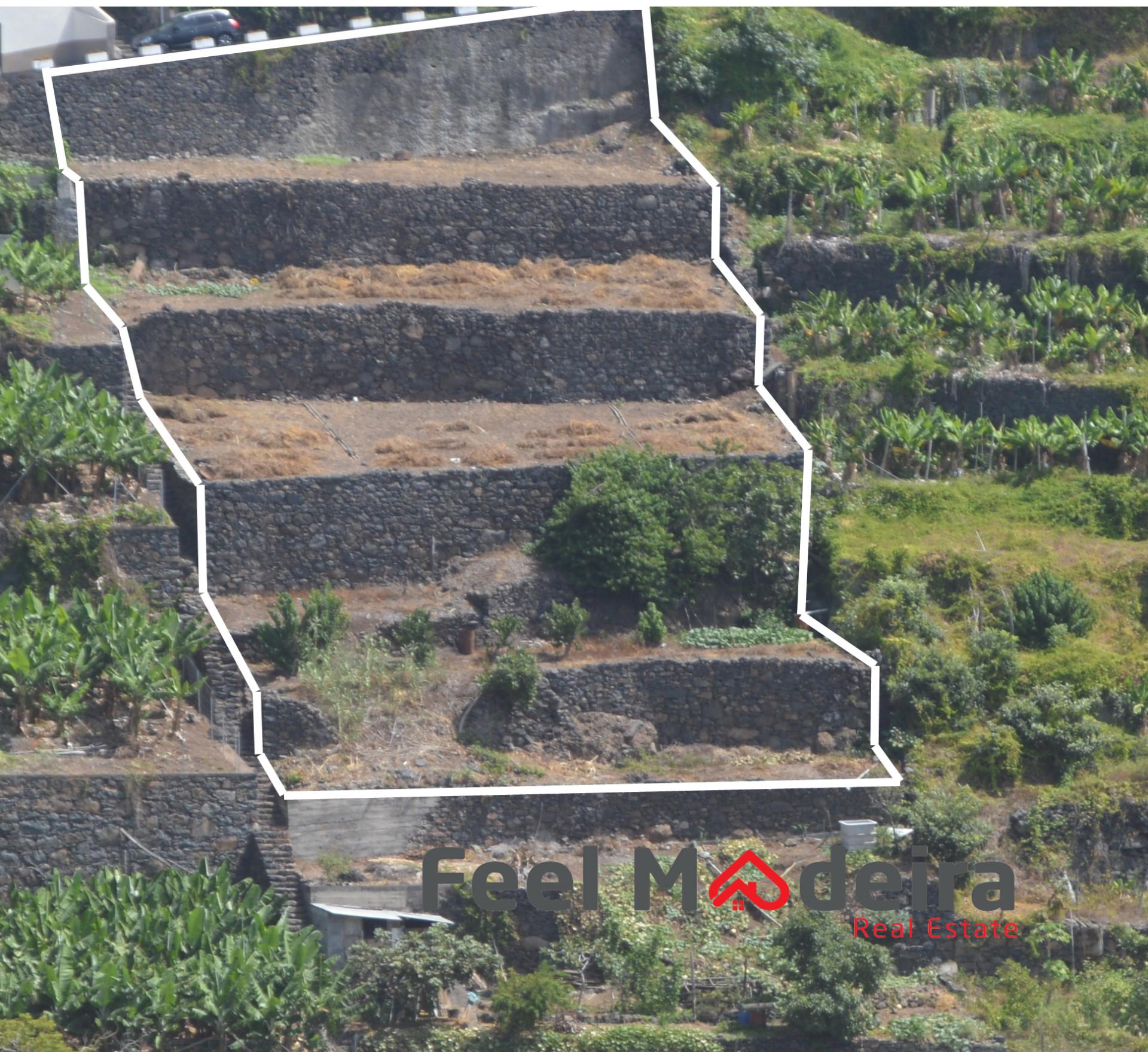 Terreno Rústico  Venda em Ribeira Brava,Ribeira Brava