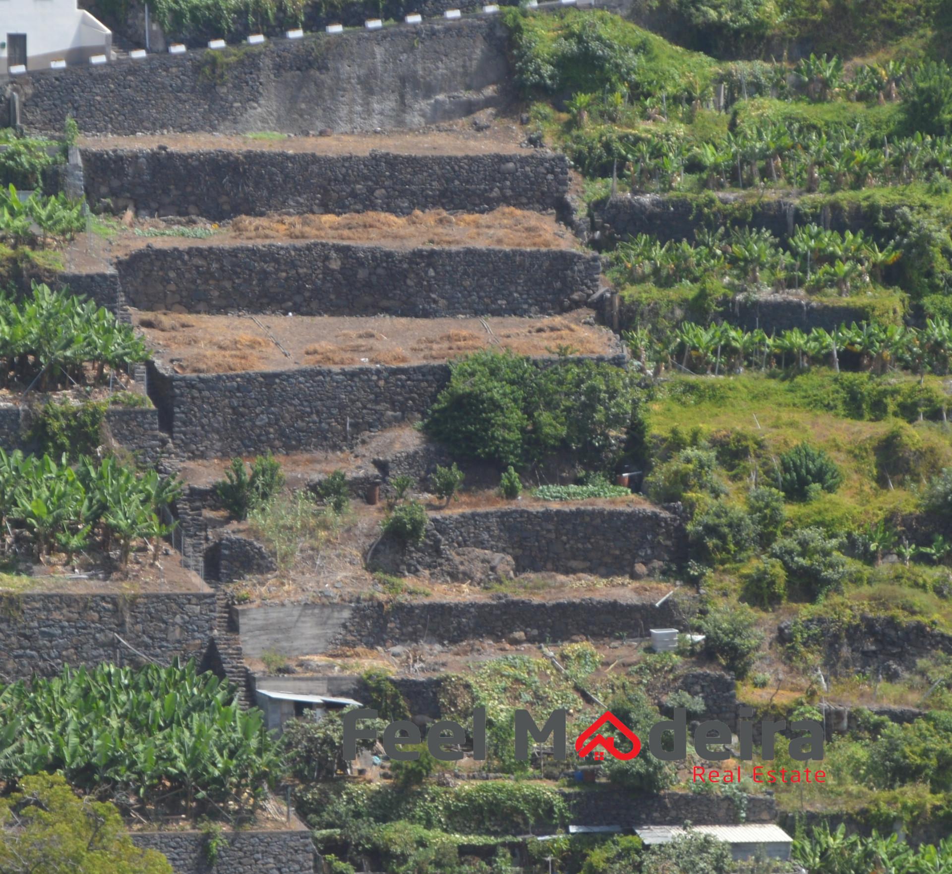 Terreno Rústico  Venda em Ribeira Brava,Ribeira Brava