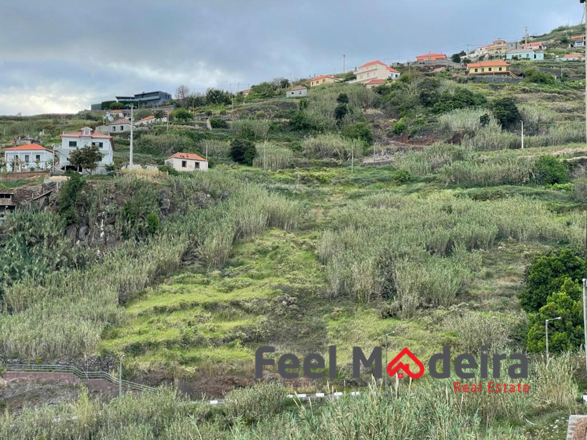 Terreno  Venda em Ribeira Brava,Ribeira Brava