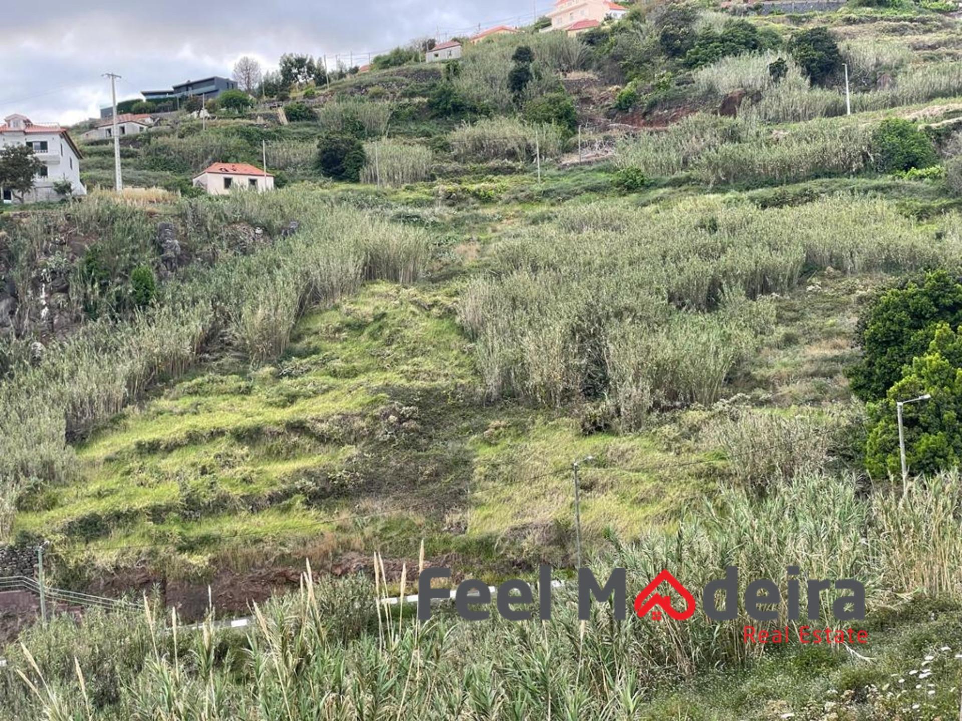 Terreno  Venda em Ribeira Brava,Ribeira Brava