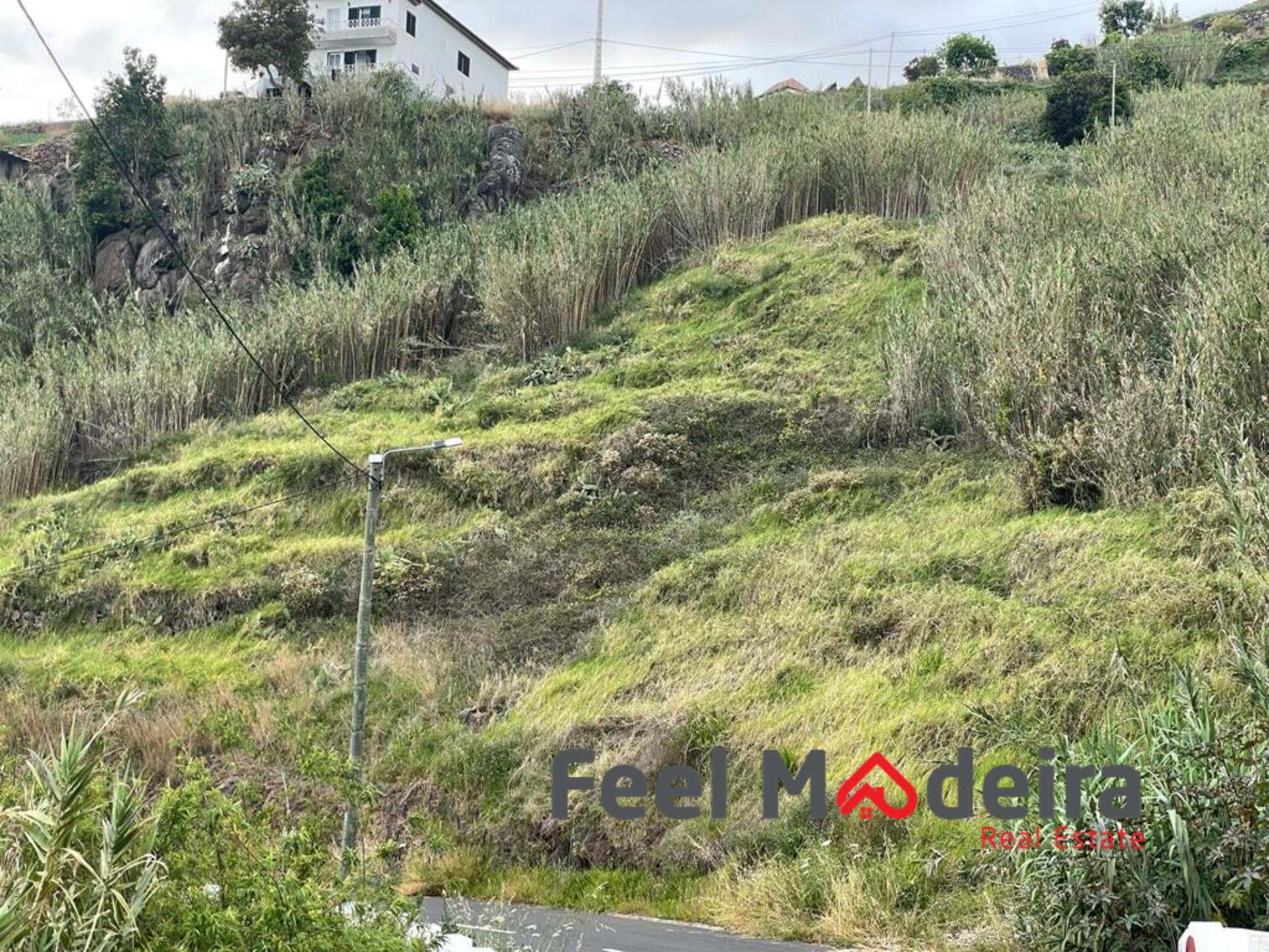 Terreno  Venda em Ribeira Brava,Ribeira Brava