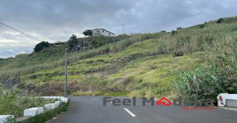 Terreno  Venda em Ribeira Brava,Ribeira Brava