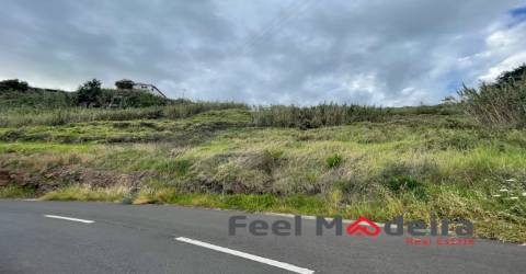 Terreno  Venda em Ribeira Brava,Ribeira Brava