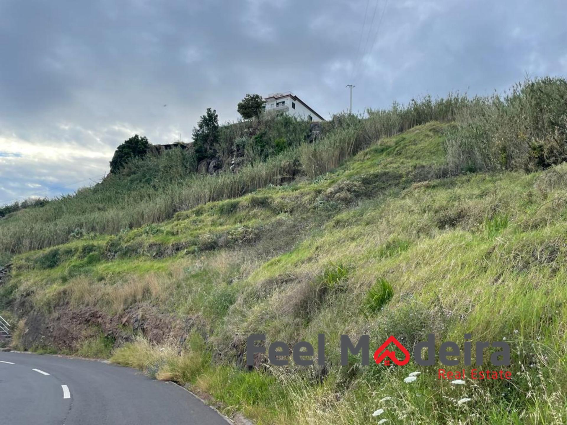 Terreno  Venda em Ribeira Brava,Ribeira Brava