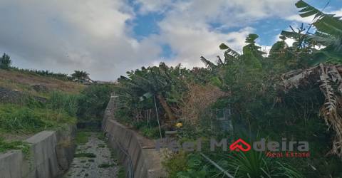 Terreno Rústico  Venda em Ribeira Brava,Ribeira Brava