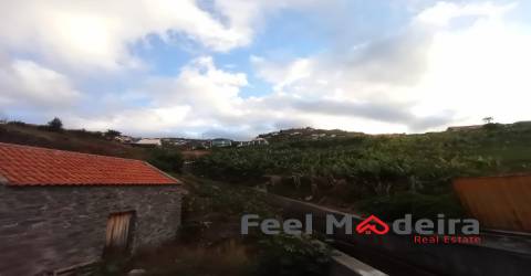 Terreno Rústico  Venda em Ribeira Brava,Ribeira Brava