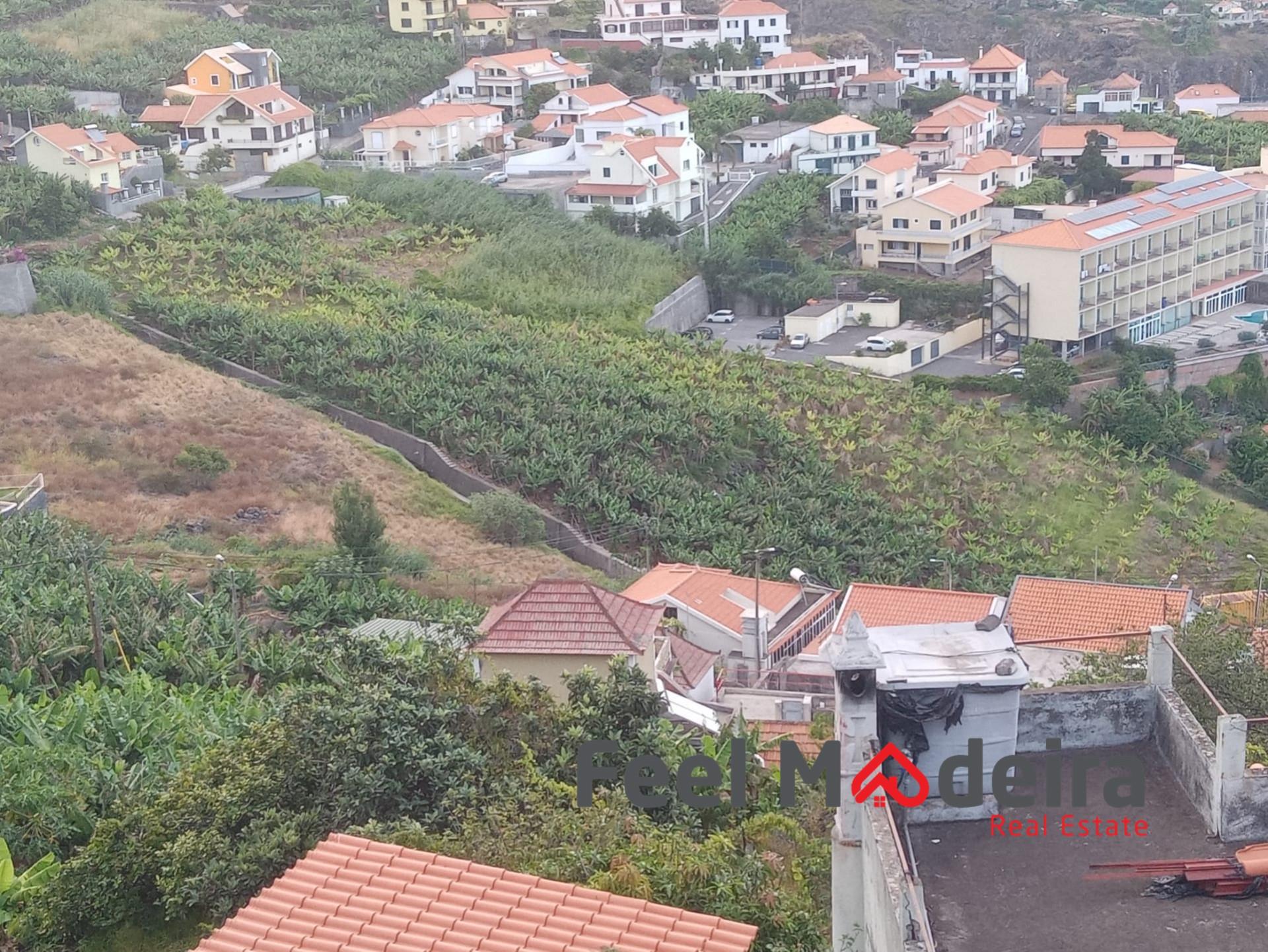 Terreno Rústico  Venda em Ribeira Brava,Ribeira Brava