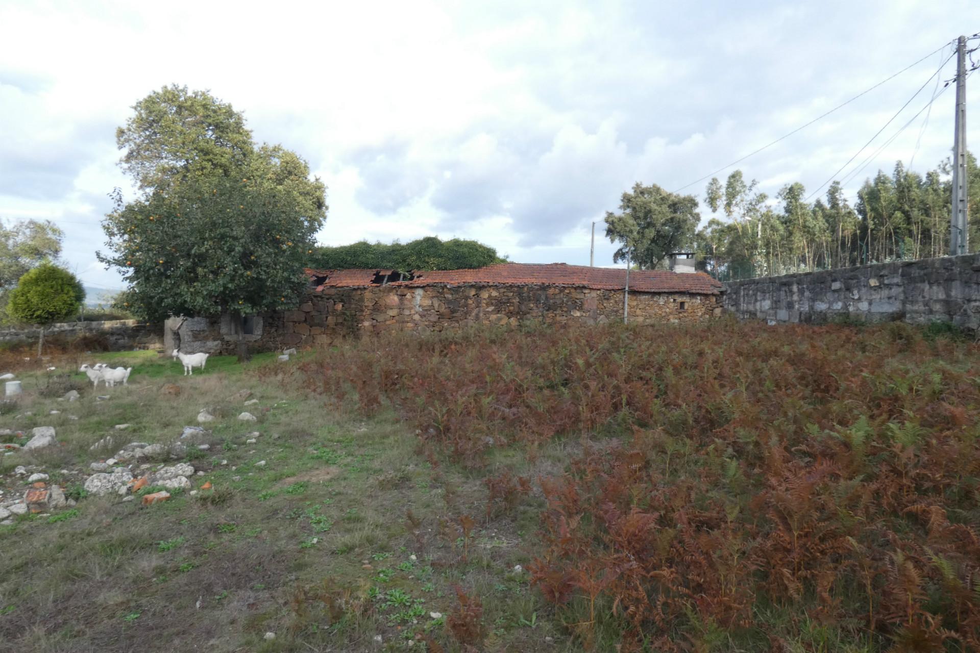 Quintinha  Venda em Esmeriz e Cabeçudos,Vila Nova de Famalicão