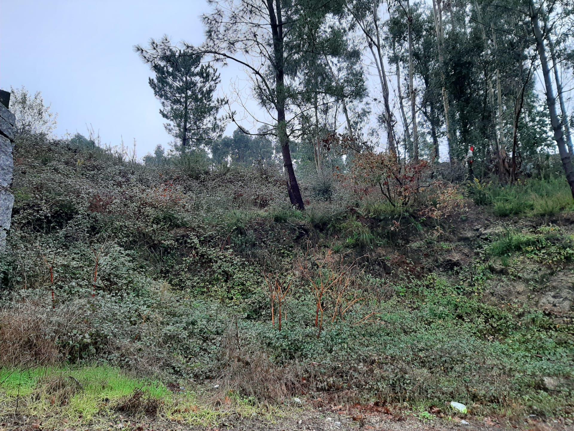 Lote de Terreno  Venda em Brufe,Vila Nova de Famalicão