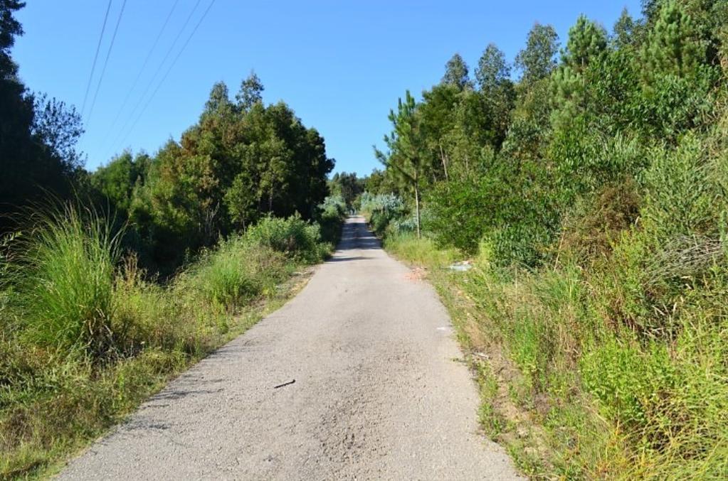 Terreno Rustico C/ 25.000m2 com viabilidade para construção em Gondomar