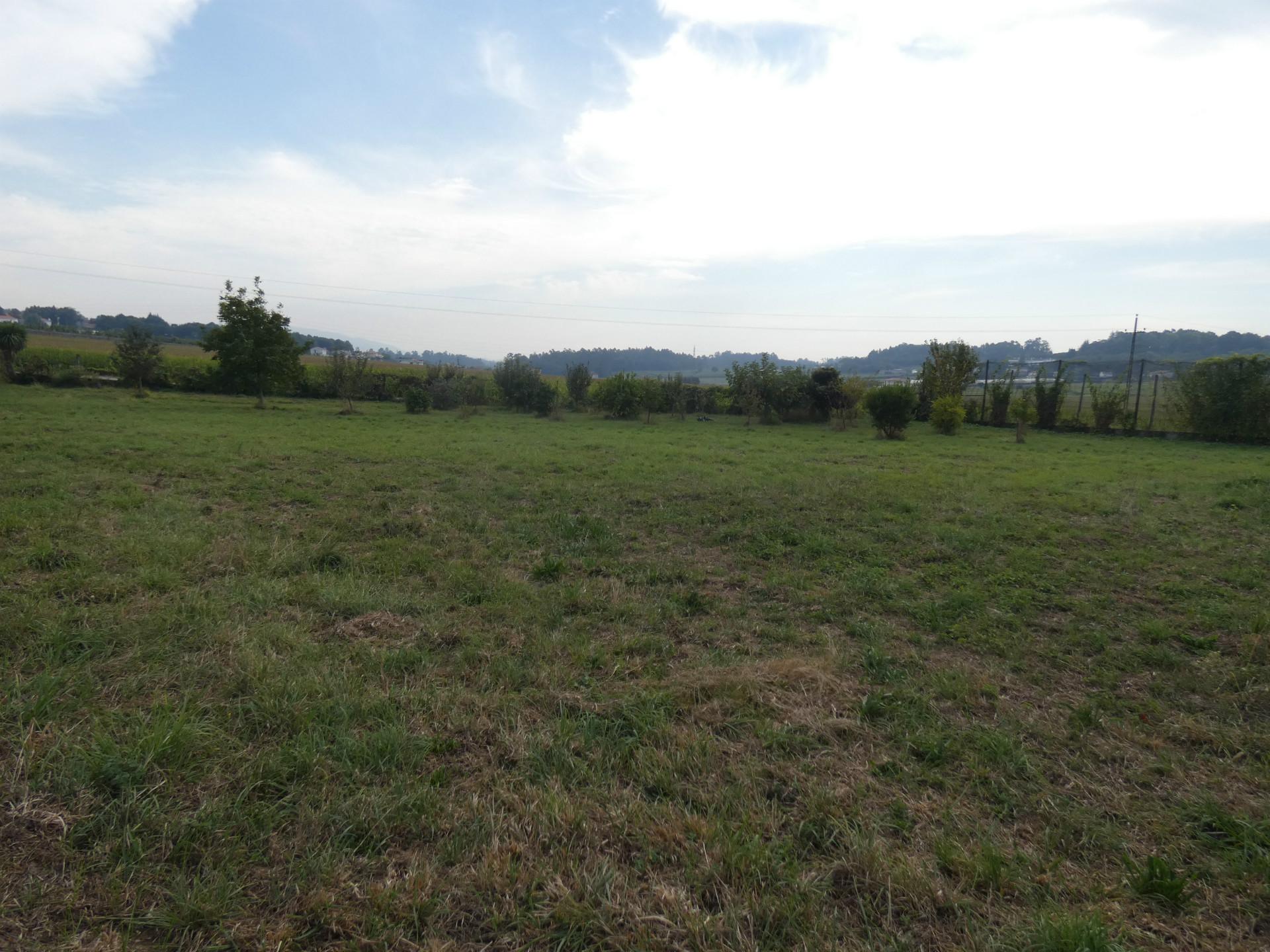 Terreno  Venda em Requião,Vila Nova de Famalicão