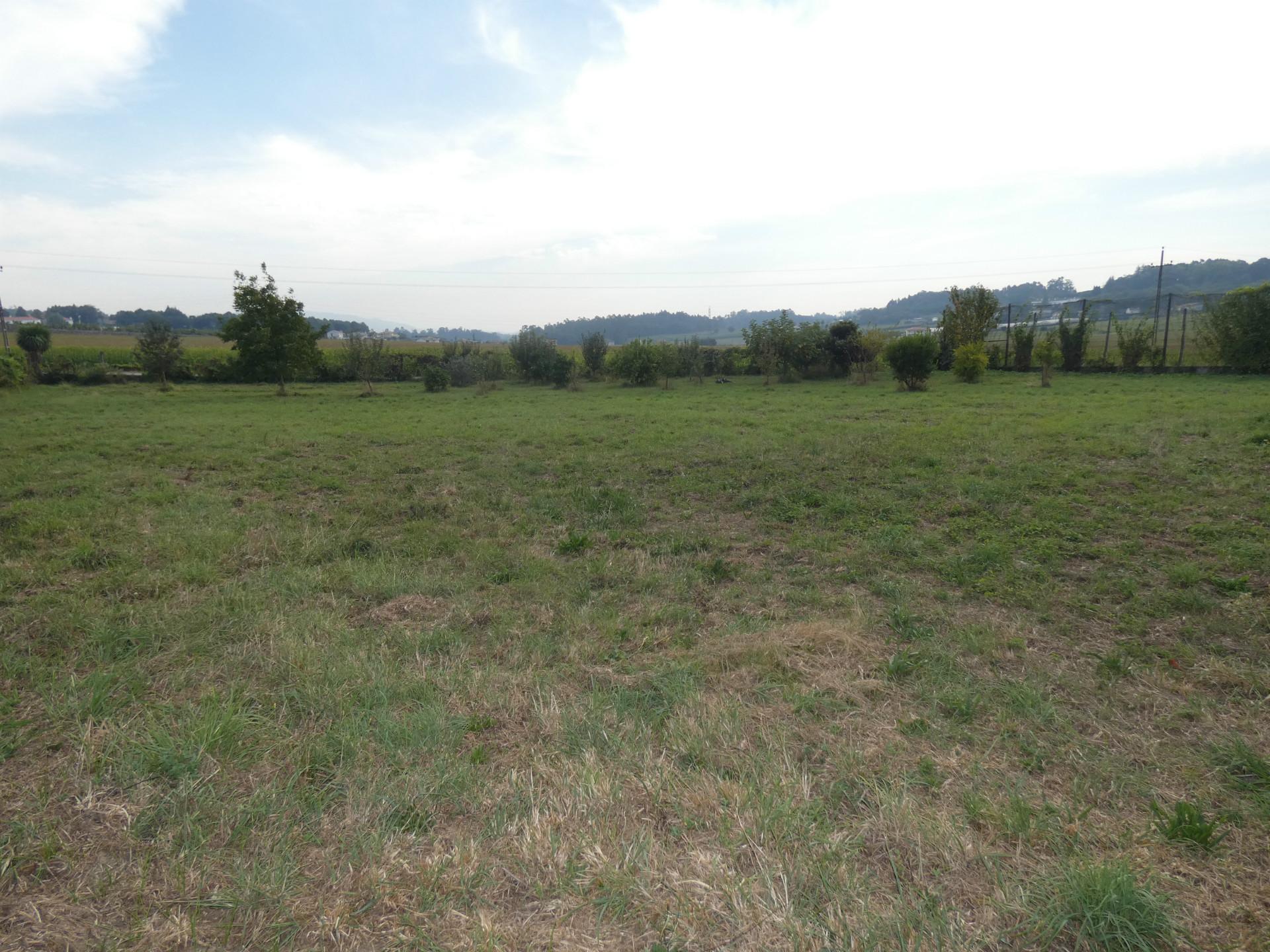 Terreno  Venda em Requião,Vila Nova de Famalicão