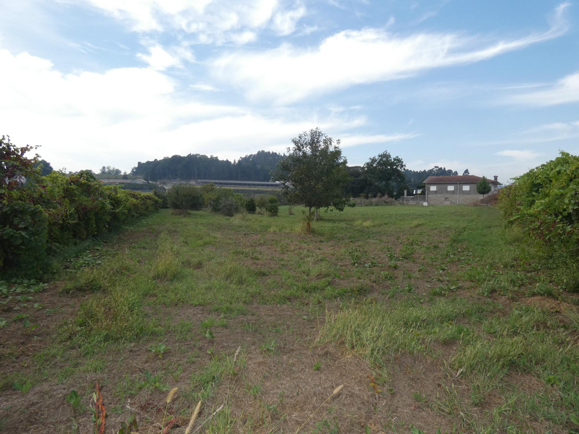 Terreno  Venda em Requião,Vila Nova de Famalicão