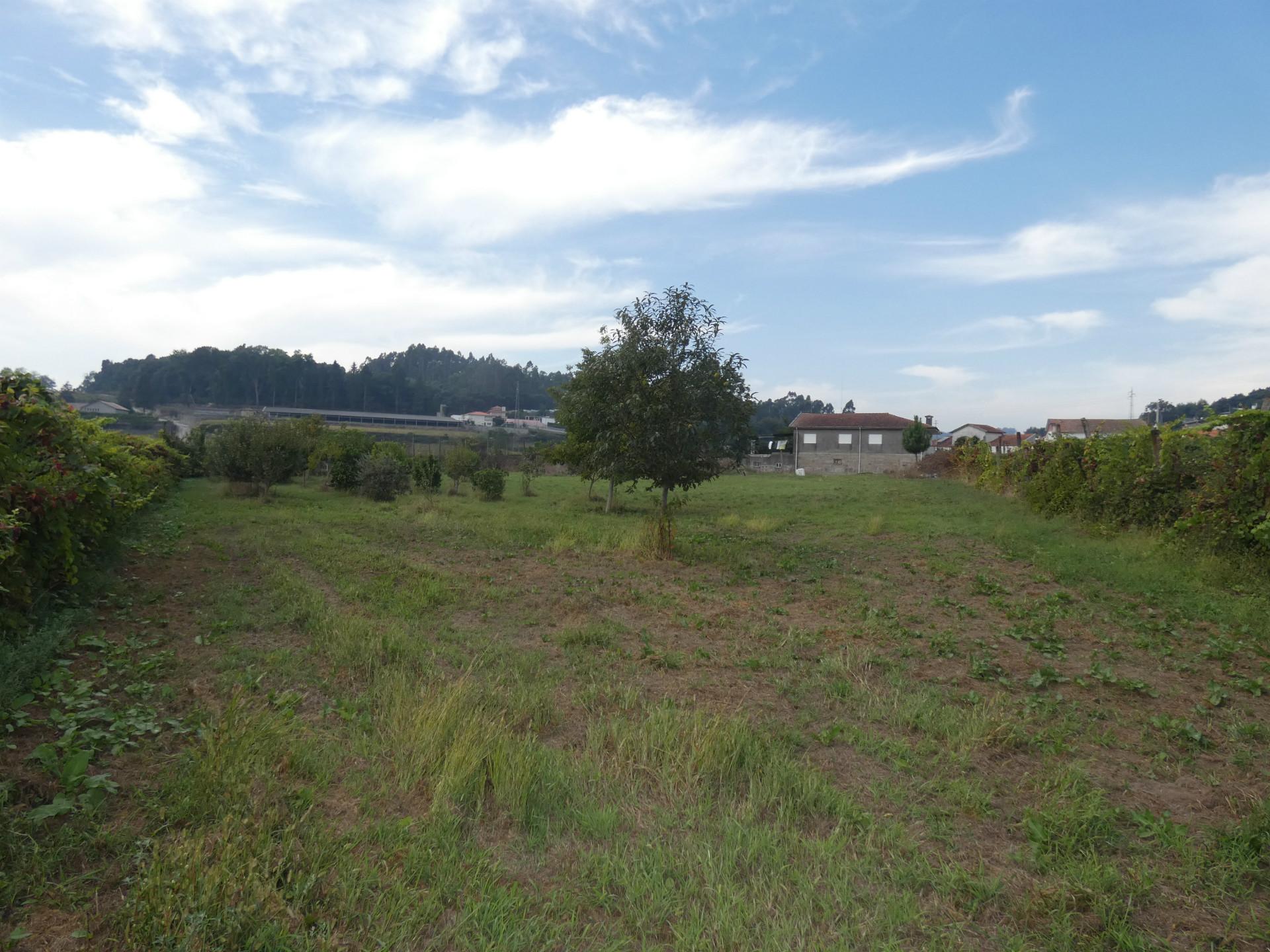 Terreno  Venda em Requião,Vila Nova de Famalicão