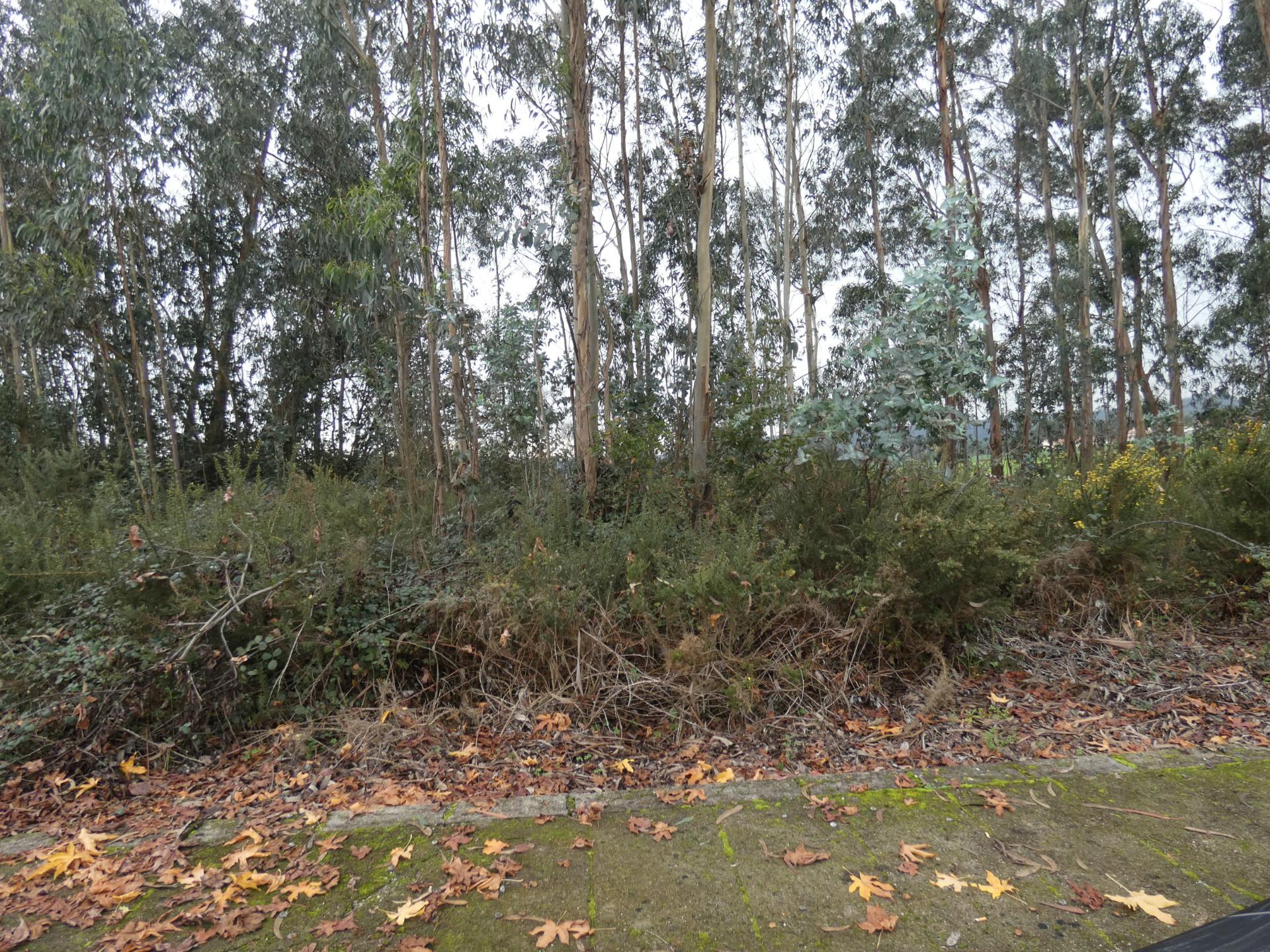 Lote de Terreno  Venda em Fradelos,Vila Nova de Famalicão