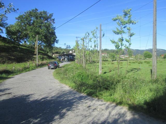 Terreno Agrícola com 13.980 m2  em Pinheiro