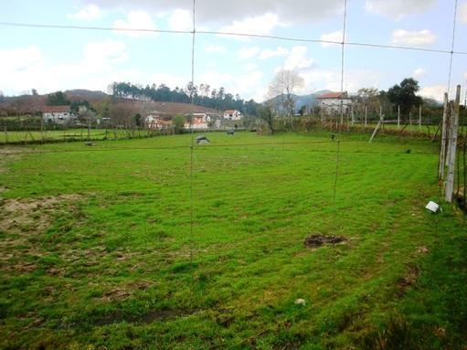 Terreno Agrícola com 13.980 m2  em Pinheiro