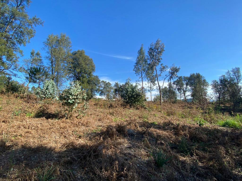 Terreno Para Construção  Venda em Gavião,Vila Nova de Famalicão