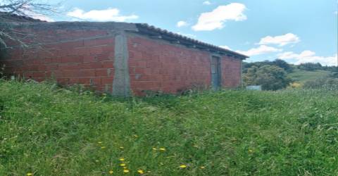 Quinta T2 Venda em São Martinho das Amoreiras,Odemira