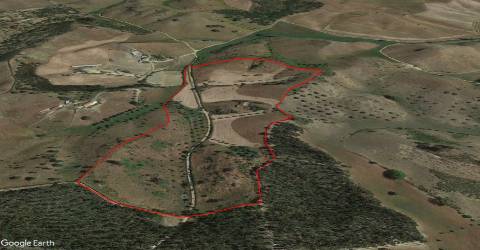 Quinta T2 Venda em São Martinho das Amoreiras,Odemira