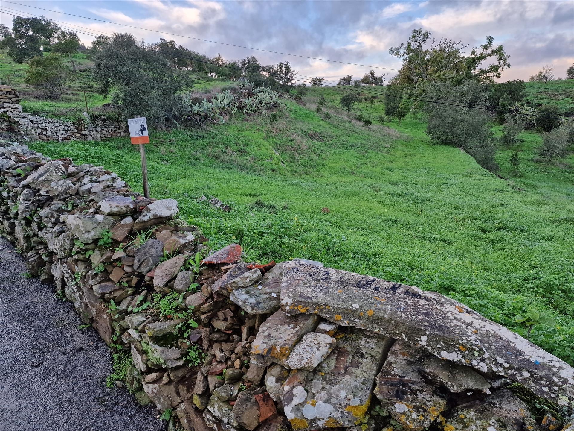 Terreno Rústico  Venda em Santa Cruz,Almodôvar