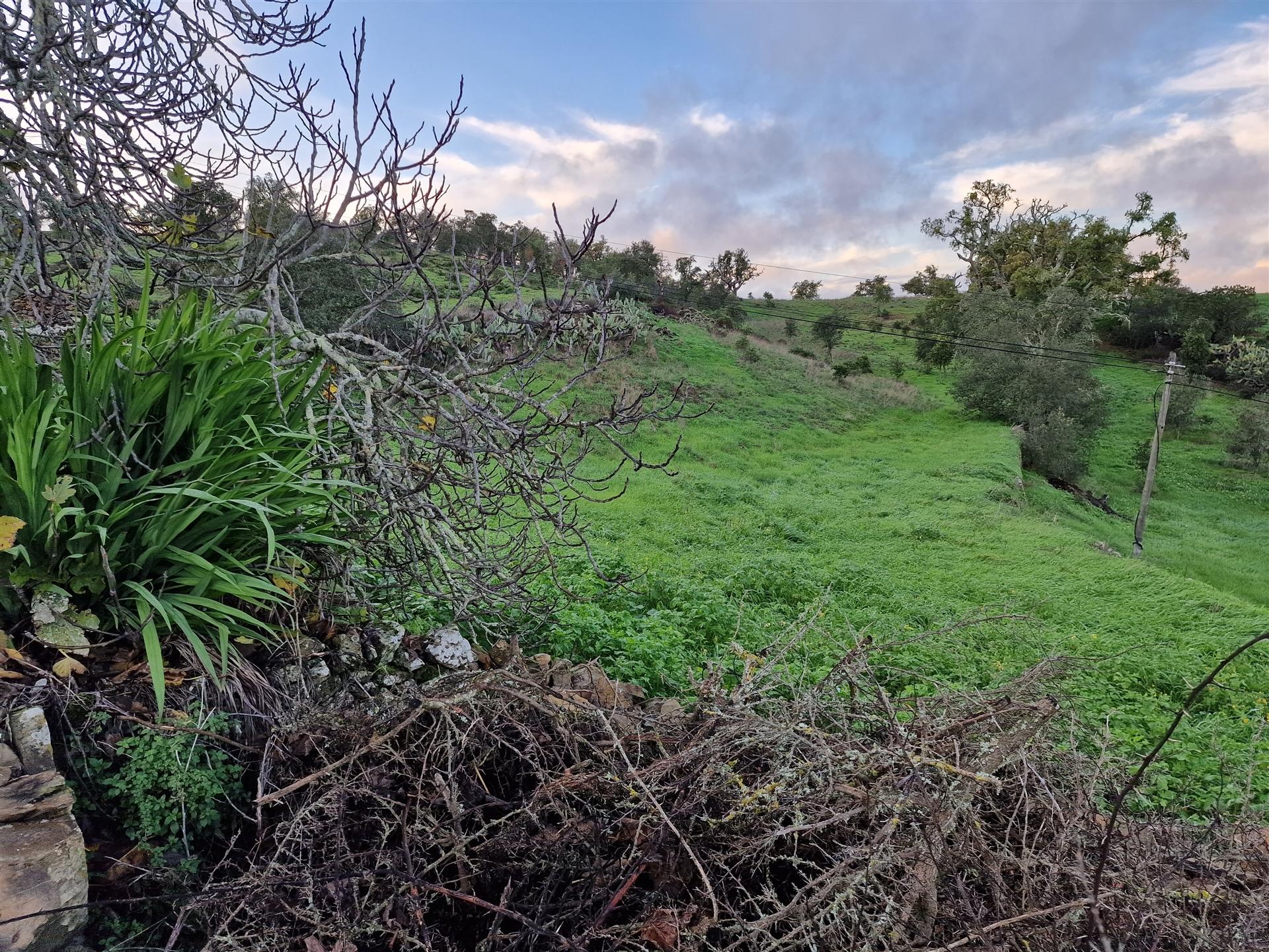 Terreno Rústico  Venda em Santa Cruz,Almodôvar