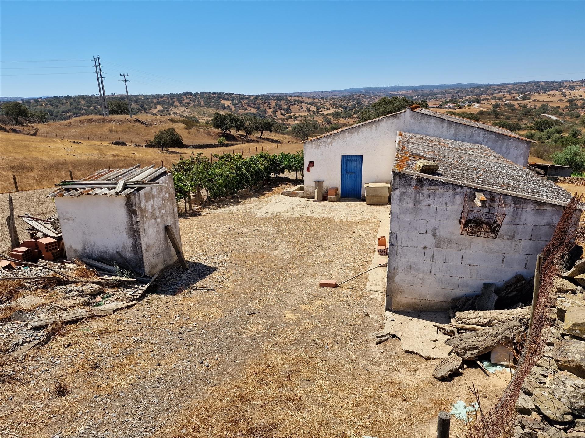 Terreno Rústico  Venda em Almodôvar e Graça dos Padrões,Almodôvar