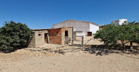 Terreno Rústico  Venda em Almodôvar e Graça dos Padrões,Almodôvar