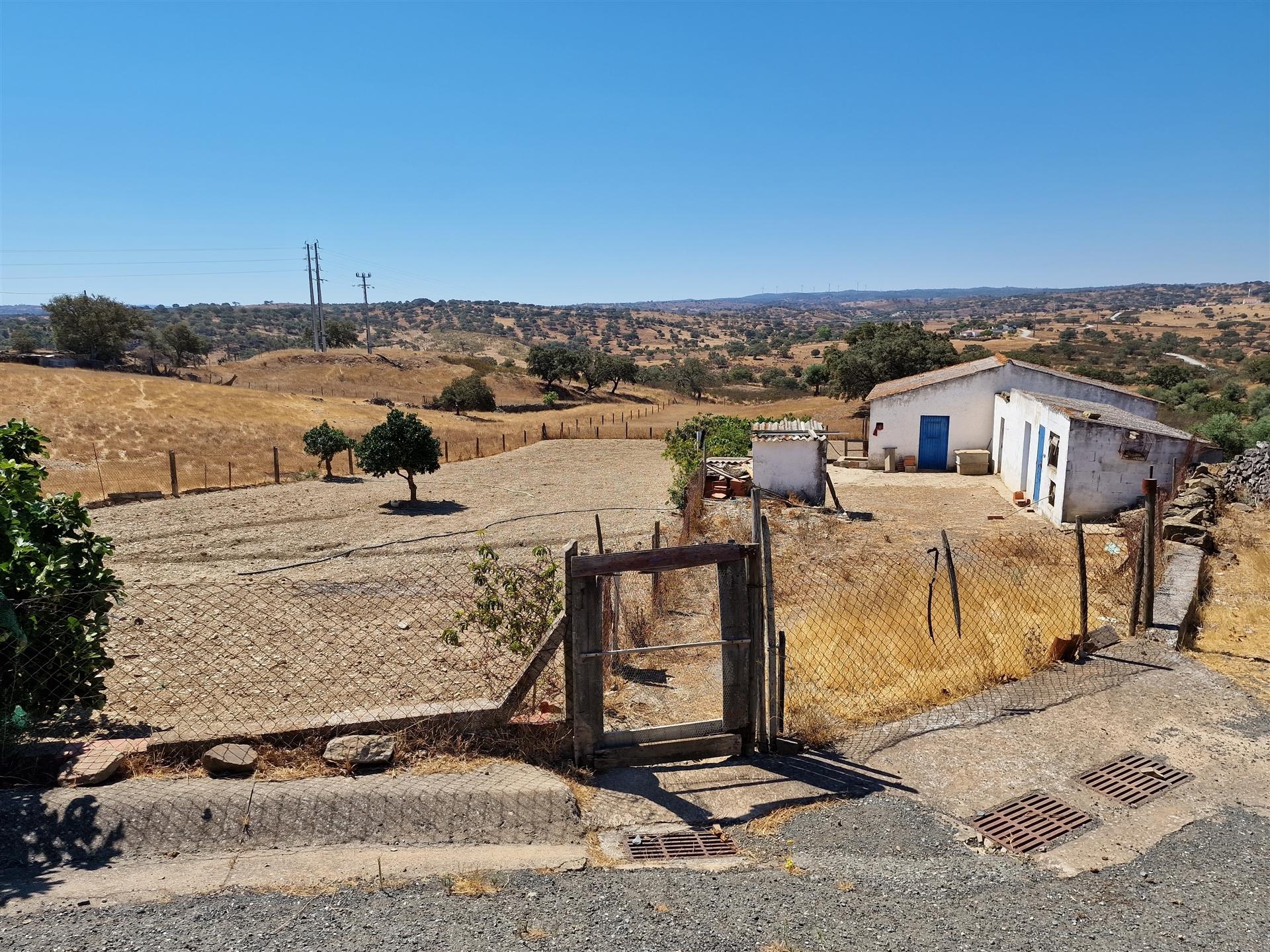 Terreno Rústico  Venda em Almodôvar e Graça dos Padrões,Almodôvar