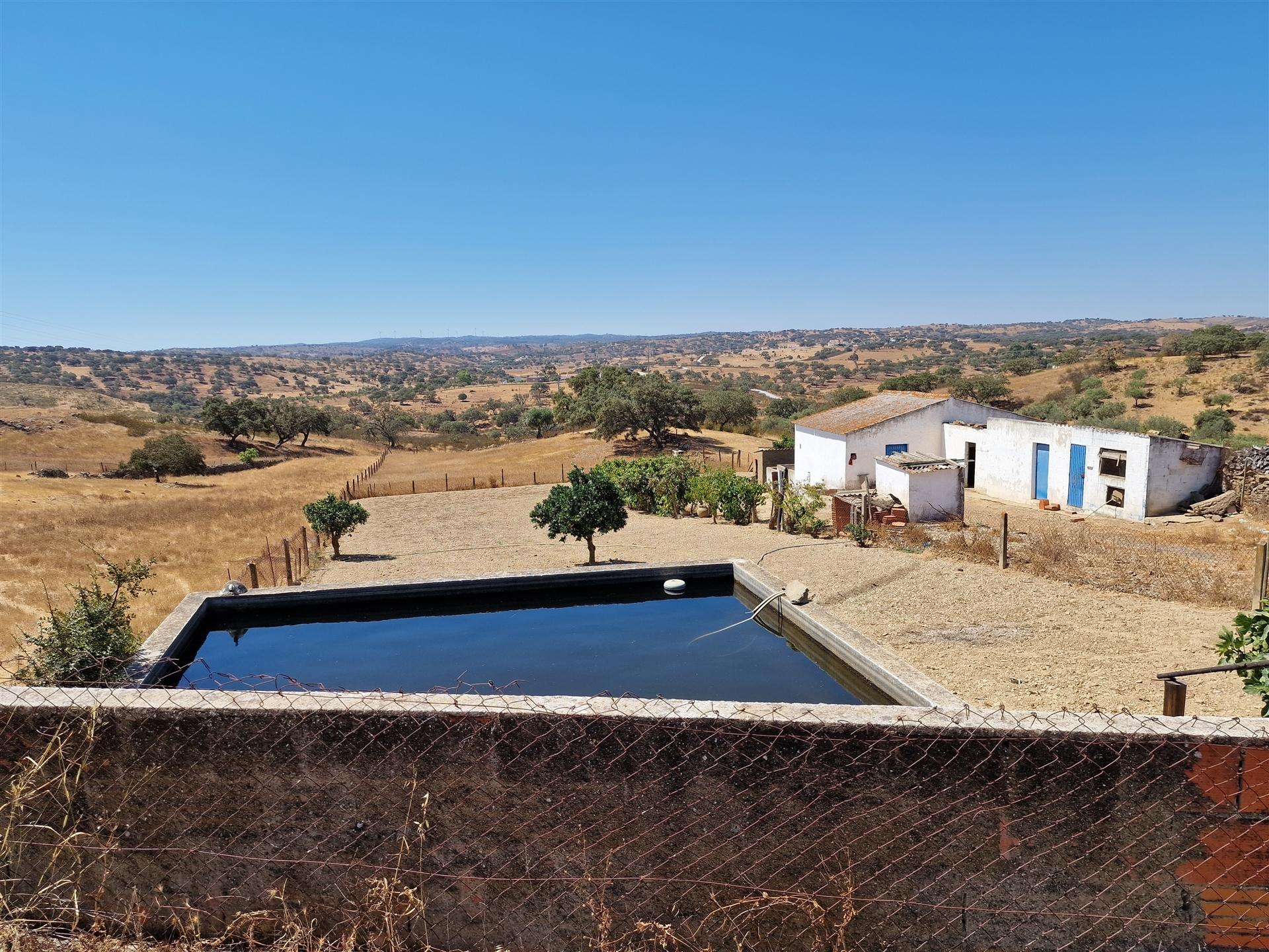 Terreno Rústico  Venda em Almodôvar e Graça dos Padrões,Almodôvar