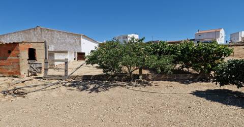 Terreno Rústico  Venda em Almodôvar e Graça dos Padrões,Almodôvar