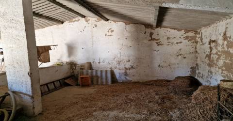 Terreno Rústico  Venda em Almodôvar e Graça dos Padrões,Almodôvar