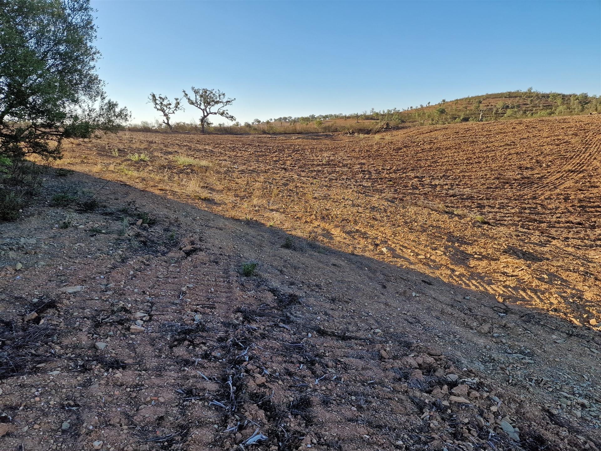 Quintinha T1 Venda em Santa Clara-a-Nova e Gomes Aires,Almodôvar