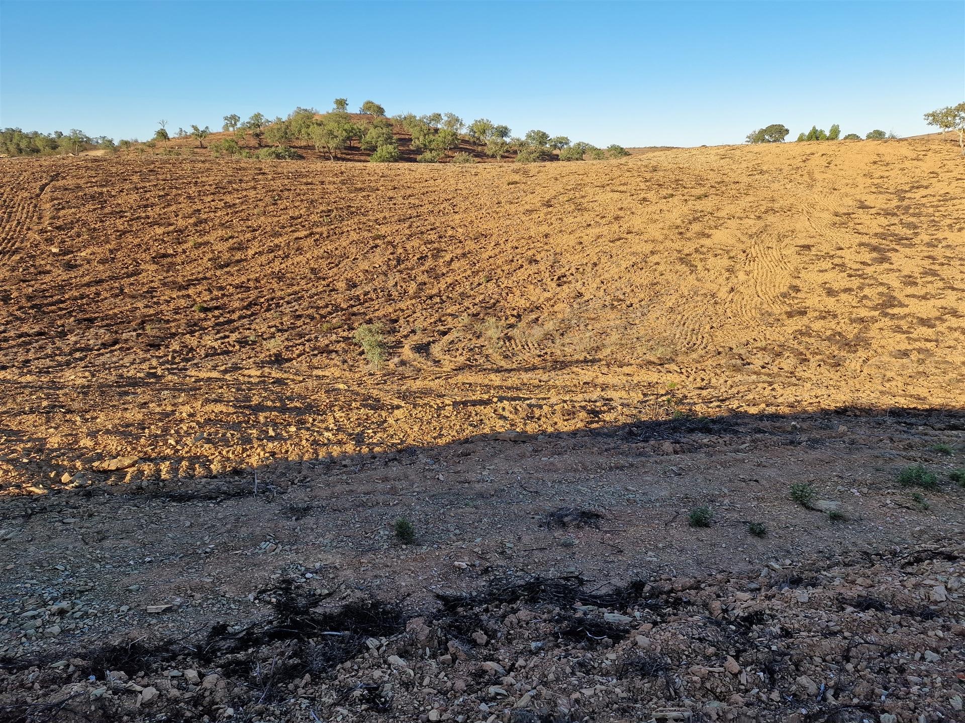 Quintinha T1 Venda em Santa Clara-a-Nova e Gomes Aires,Almodôvar